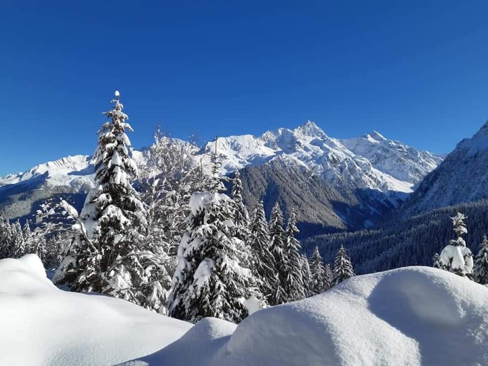 Superbe Studio Aux 7 Laux La Ferrière Exterior foto