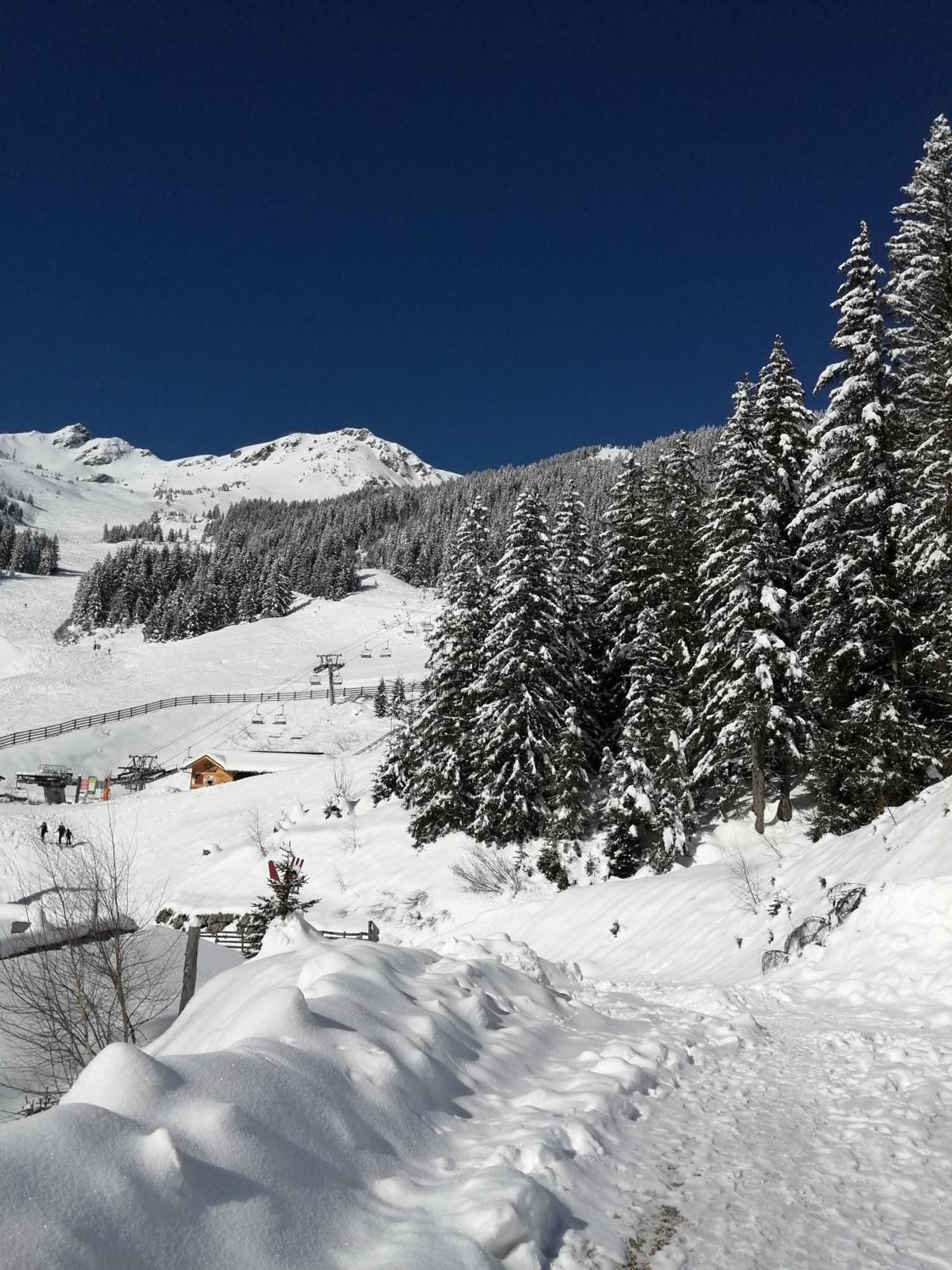Superbe Studio Aux 7 Laux La Ferrière Exterior foto